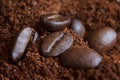 Roasted coffee beans on ground coffee. Royalty Free Stock Photo