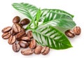 Roasted coffee beans and leaves. Royalty Free Stock Photo