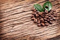 Roasted coffee beans and leaves. Royalty Free Stock Photo