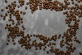 Roasted coffee beans lie all over the frame on a surface with a mottled gray texture. There is space for text in the center of the Royalty Free Stock Photo