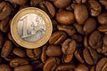 Roasted coffee beans and one Euro coin close-up Royalty Free Stock Photo
