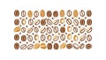 Roasted Coffee Beans Pattern for Cafe and Beverage, vector design Generative AI Royalty Free Stock Photo