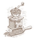 Roasted coffee beans and retro coffee grinder. Vintage device for preparing coffee drink. Hand drawn illustration sketch Royalty Free Stock Photo