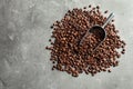 Roasted coffee beans, scoop and space for text on grey background Royalty Free Stock Photo