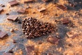 Roasted coffee beans in the shape of a heart on the dark stone background with dissipate cocoa, pieces of chocolate and beans. Sel Royalty Free Stock Photo