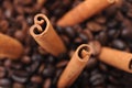 Roasted coffee beans Royalty Free Stock Photo