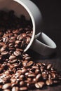 Roasted coffee beans spilled out from a white mug Royalty Free Stock Photo