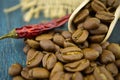 Roasted coffee beans spilling from a wooden scoop Royalty Free Stock Photo