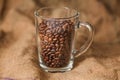 Roasted coffee beans in a transparent glass cup Royalty Free Stock Photo