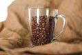 Roasted coffee beans in a transparent glass cup Royalty Free Stock Photo