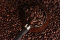 Roasted coffee beans in Turka on the table Royalty Free Stock Photo