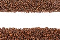 Roasted coffee beans. Two sorts of arabica on white background Royalty Free Stock Photo