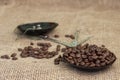 Roasted coffee beans, weighed on an antique hand scale with weights, lying on a table Royalty Free Stock Photo