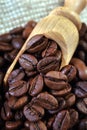 Roasted coffee beans in a wooden scoop close-up. selective focus Royalty Free Stock Photo