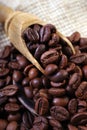 Roasted coffee beans in a wooden scoop close-up. selective focus Royalty Free Stock Photo