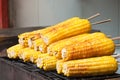 Roasted corn Royalty Free Stock Photo