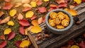 Roasted Corn Cob Bites in Autumn Setting on Wooden Log with Fall Foliage Royalty Free Stock Photo