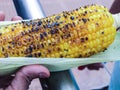 Roasted Corn cob Royalty Free Stock Photo