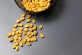 Roasted corn nuts in plate on dark background Royalty Free Stock Photo
