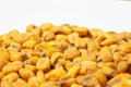 Roasted corn nuts on white background Royalty Free Stock Photo