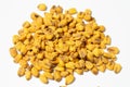Roasted corn nuts on white background Royalty Free Stock Photo
