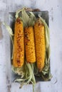 Roasted corns with cobs , delicious cooked corns