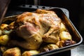 Roasted country style chicken in baking form with potatoes apples in oven, rural kitchen interior Royalty Free Stock Photo