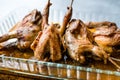 Roasted Crispy Quail Meat in Glass Bowl / Fried Small Chickens. Royalty Free Stock Photo
