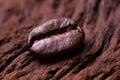 Roasted detailed tasty coffee bean with natural wooden background