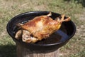 Roasted duck chicken with crispy skin photo