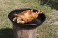 Roasted duck chicken with crispy skin photo