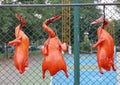 Roasted duck dried hanging for sale