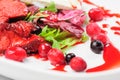Roasted duck fillet salad with berry sauce Royalty Free Stock Photo
