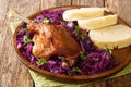 Roasted duck leg with stewed red cabbage and dumplings close-up in a plate. horizontal Royalty Free Stock Photo