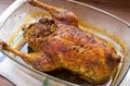 Roasted duck stuffed with buckwheat Royalty Free Stock Photo