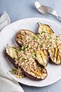 Roasted eggplant with quinoa Royalty Free Stock Photo