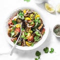 Roasted eggplant, sweet tomato and cilantro mediterranean style salad on light background. Vegetarian food concept Royalty Free Stock Photo