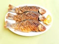 Roasted fish Royalty Free Stock Photo