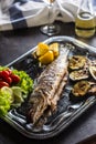 Roasted fish on dish with fresh and grilled vegetable Royalty Free Stock Photo