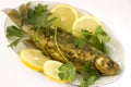 Roasted fish with lemon Royalty Free Stock Photo