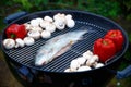 Roasted fish, mushrooms, vegetables on the grill, on a picnic. Royalty Free Stock Photo