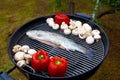 Roasted fish, mushrooms, vegetables on the grill, on a picnic. Royalty Free Stock Photo