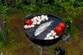 Roasted fish, mushrooms, vegetables on the grill, on a picnic. Royalty Free Stock Photo