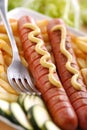 Roasted frankfurters seasoned with mustard