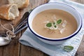 Roasted garlick and bean soup Royalty Free Stock Photo