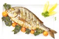Roasted gilt head bream fish on a white plate. Royalty Free Stock Photo