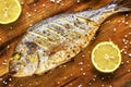 Roasted gilt head bream fish on a wooden table. Royalty Free Stock Photo