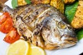 Roasted gilthead fish Royalty Free Stock Photo