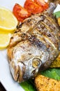 Roasted gilthead fish Royalty Free Stock Photo