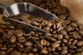 Roasted golden brown coffee beans